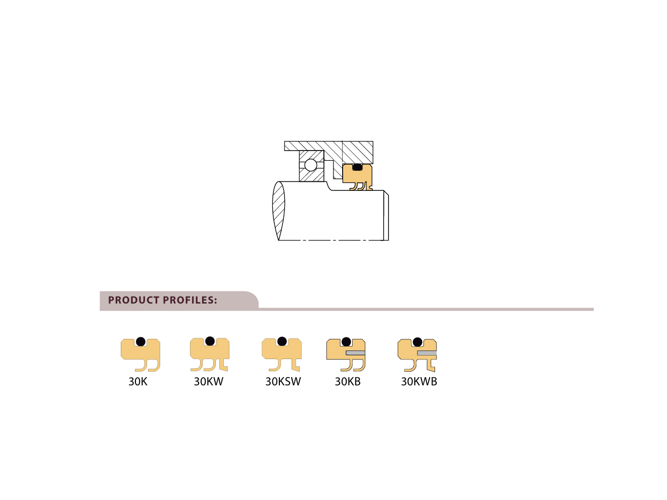 Chesterton 30K Advanced Lip Seal