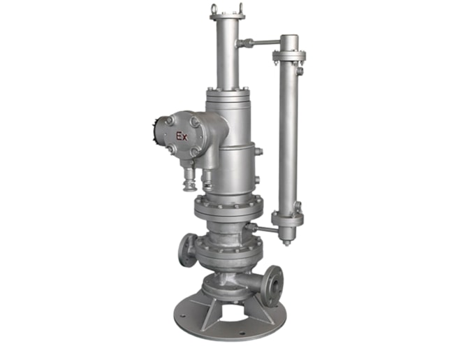 Hayward Tyler HJ/HG Gas Seal Slurry Handling Canned Motor Pump