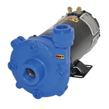 AMT 12DC Series 12V DC Washdown Pump