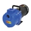AMT Series Self-Priming Sprinkler Booster Pump 