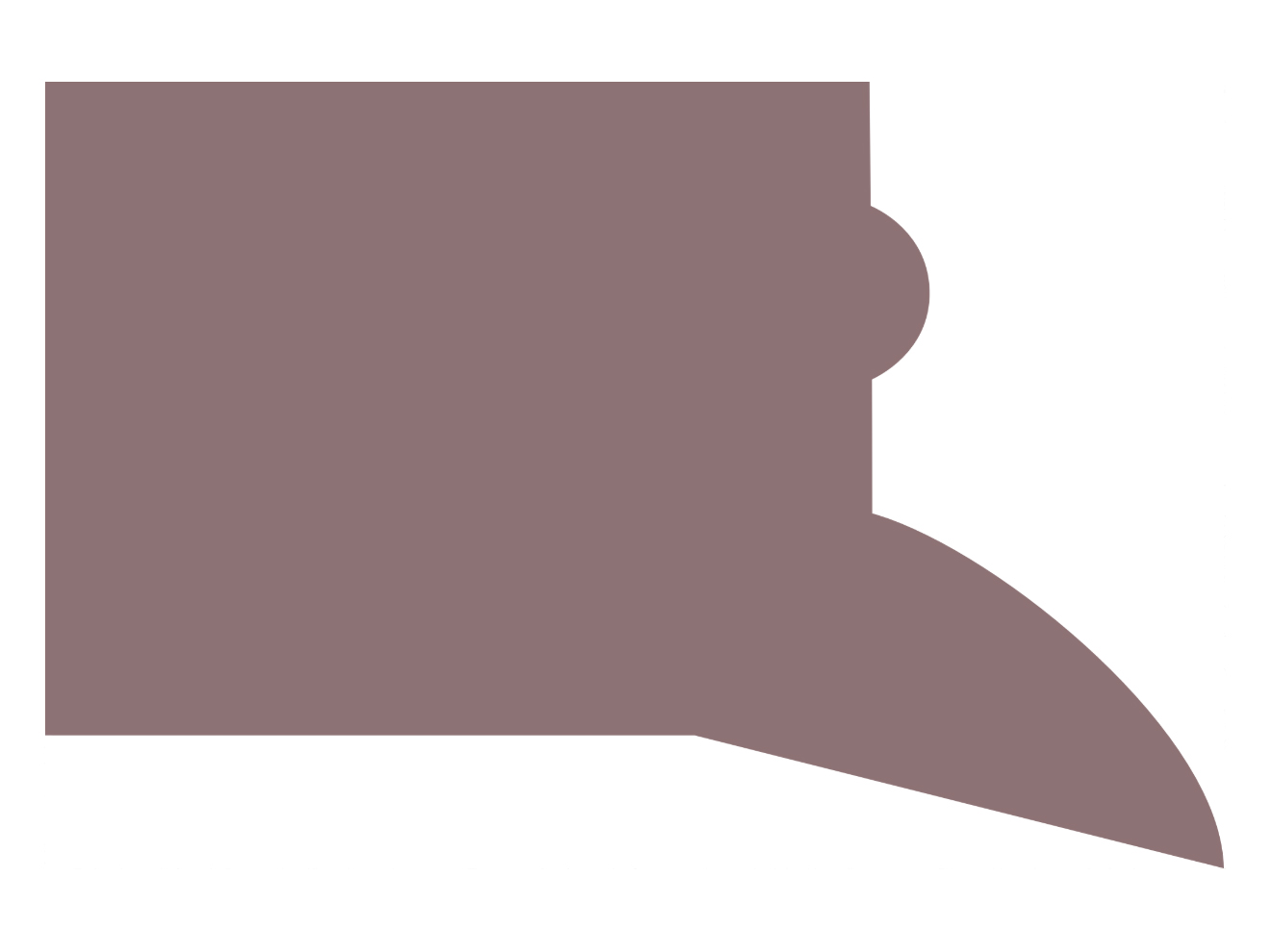 Chesterton 21K Hydraulic and Pneumatic Wiper