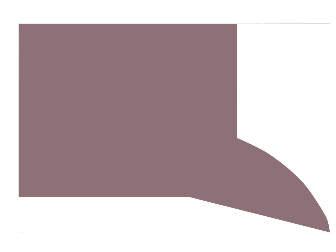 Chesterton 21K Hydraulic and Pneumatic Wiper