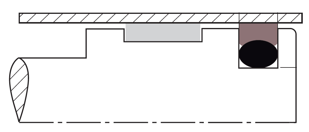 Chesterton Custom Cap Seal